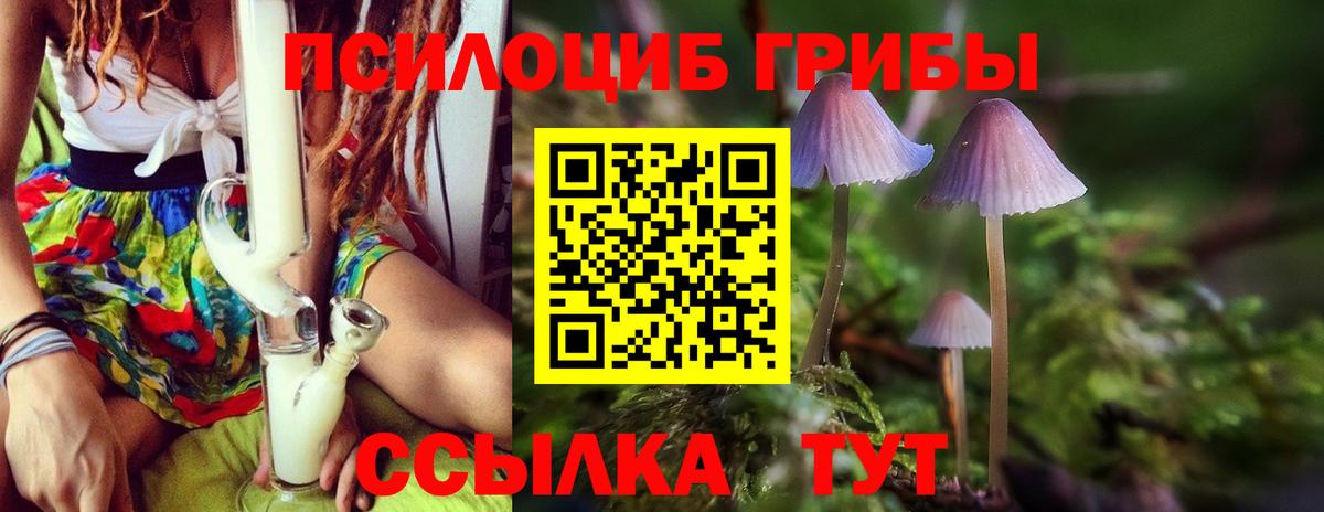 Всеволожск  Псилоцибиновые грибы прущие грибы  Вход с VPN 